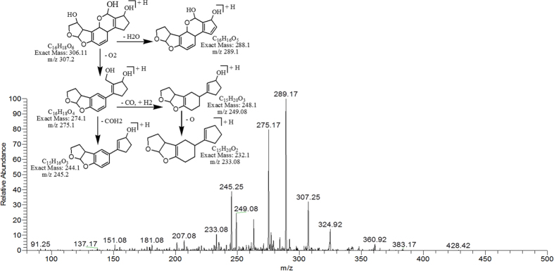 Figure 9