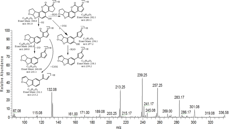 Figure 11