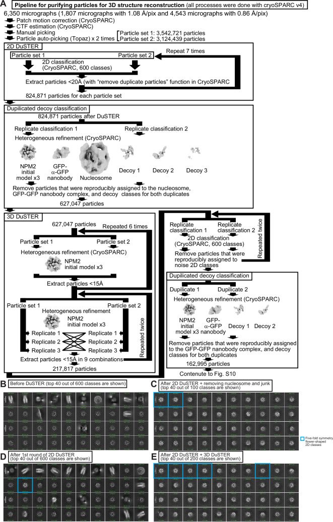 Figure 4—figure supplement 5.