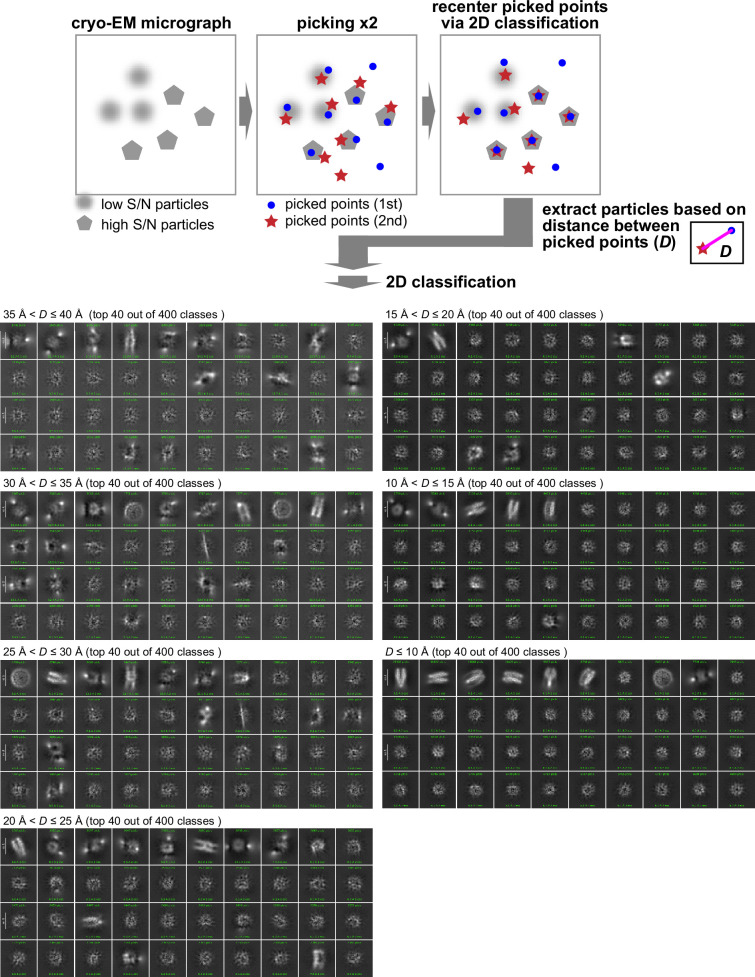 Figure 4—figure supplement 2.
