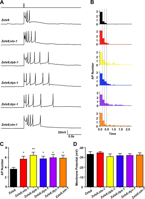 FIGURE 4.