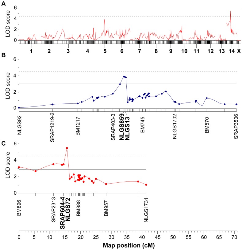 Figure 6