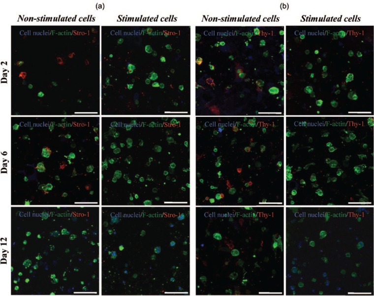 Figure 6.