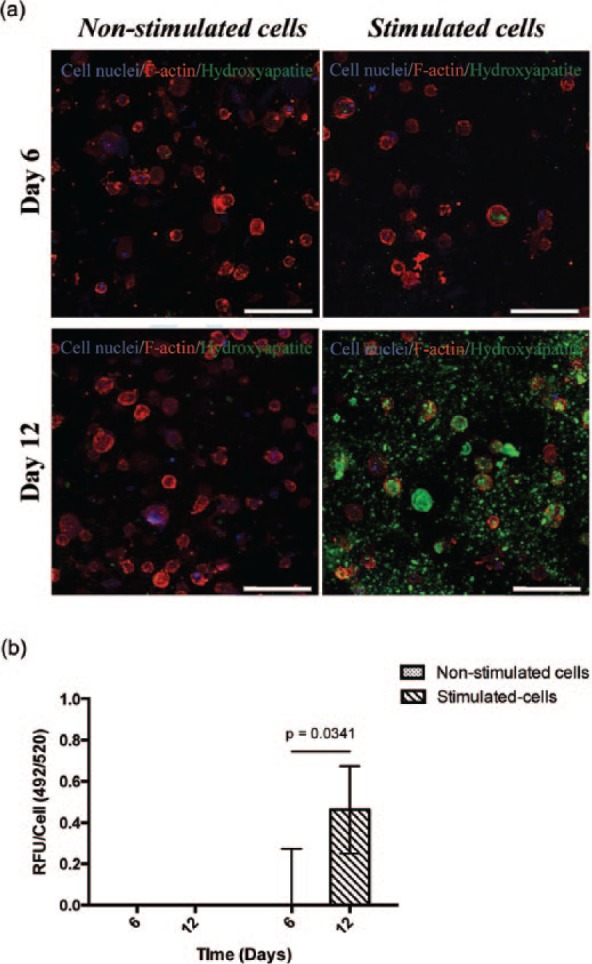 Figure 10.