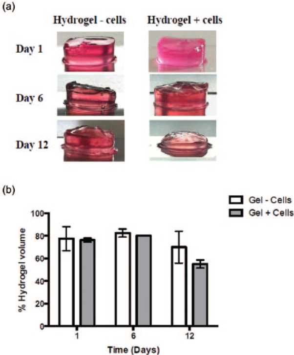 Figure 11.