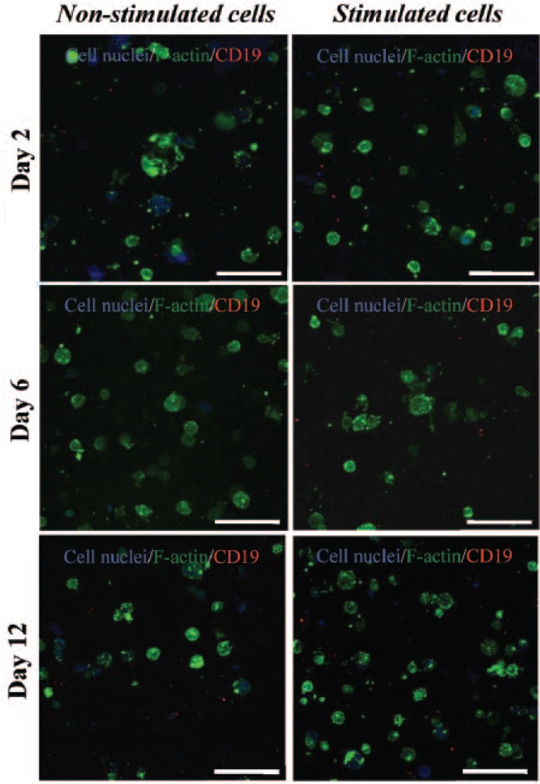 Figure 7.