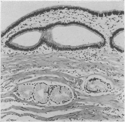 FIG. 9