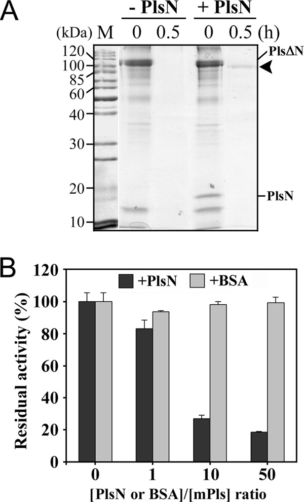 Fig 4