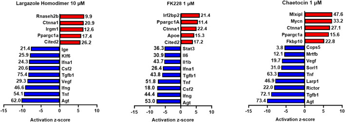 FIGURE 13