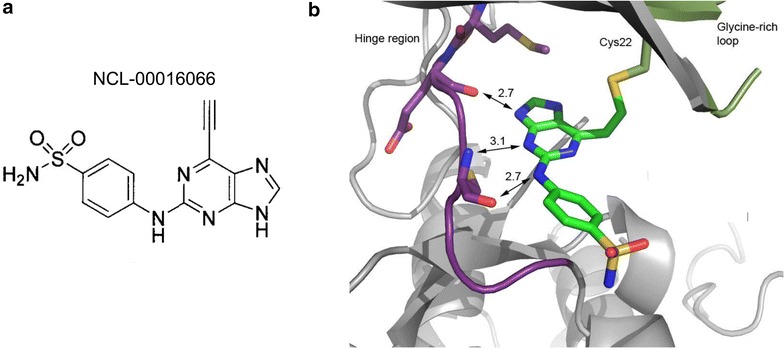 Fig. 1