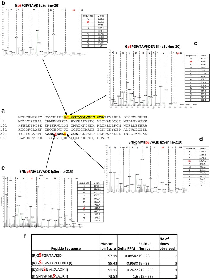 Fig. 7