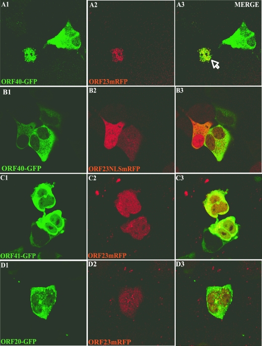 FIG. 10.