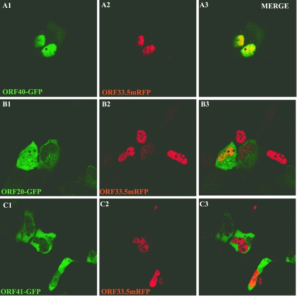 FIG. 12.