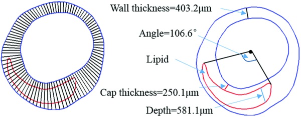 Fig. 3