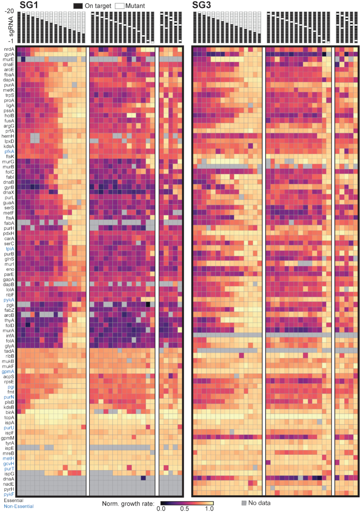 Figure 3.