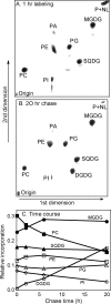 FIG. 4.