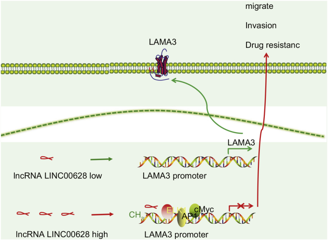 Figure 11