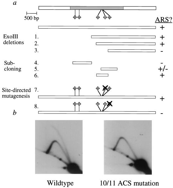 FIG. 5