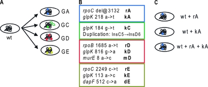 FIG. 1.