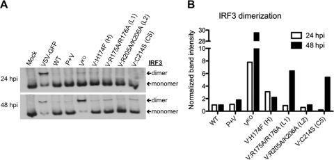 Fig. 2.