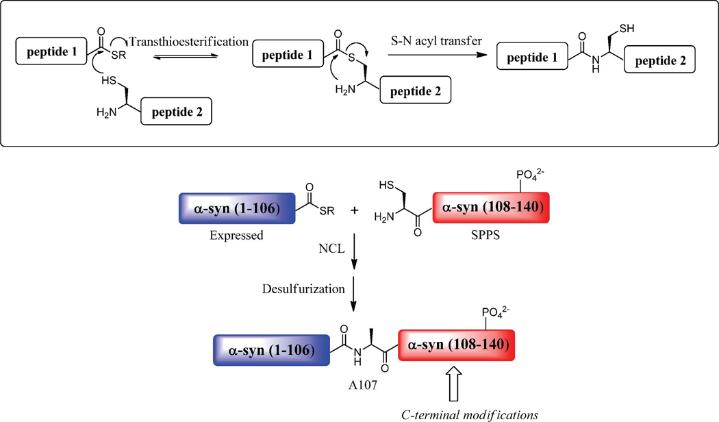 Scheme 2