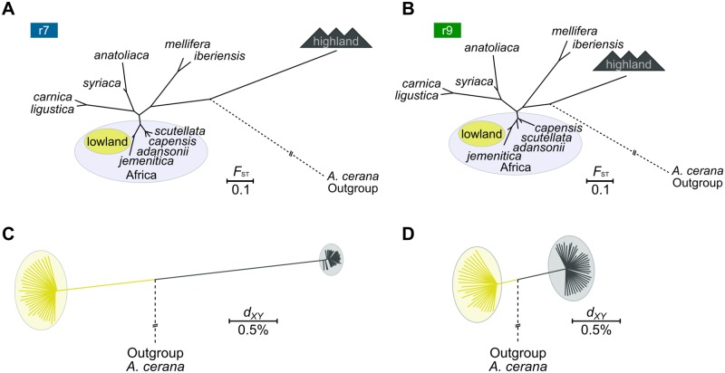 Fig 5