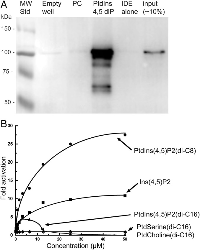 Fig. 3.