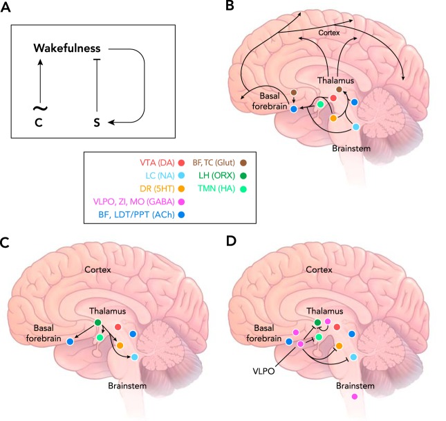 FIGURE 2.