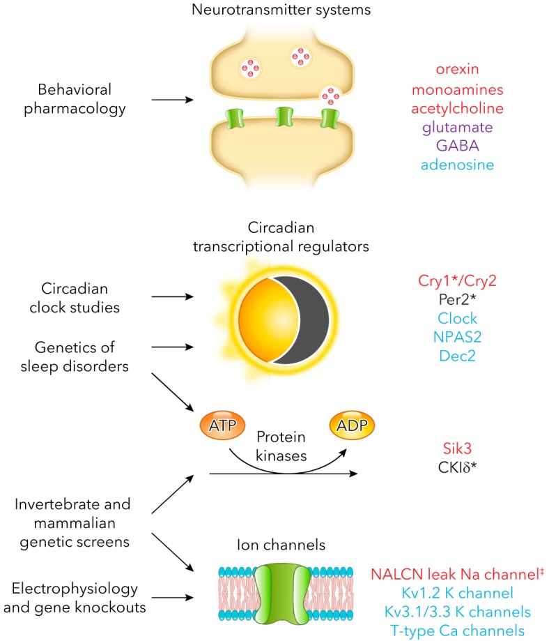 FIGURE 3.