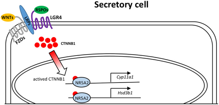 FIGURE 6