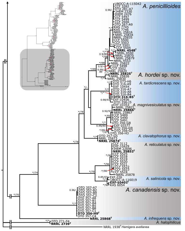 Fig. 7