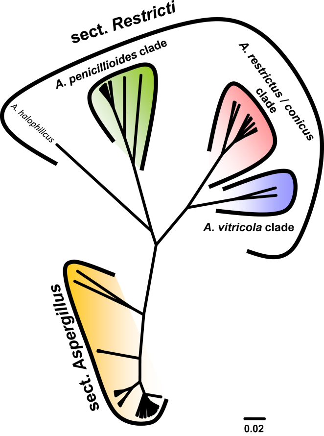 Fig. 2