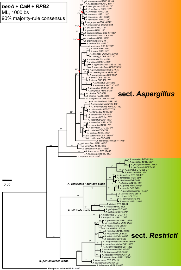 Fig. 1