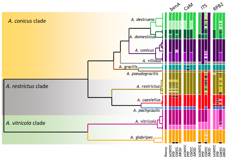 Fig. 3