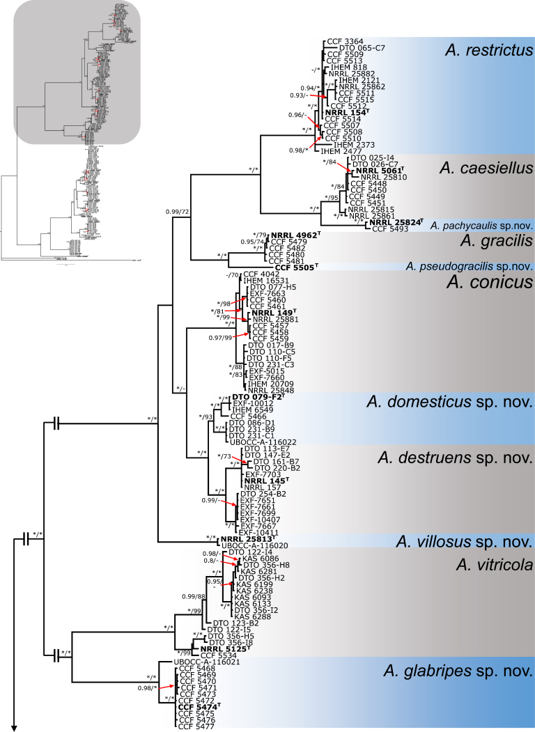 Fig. 7