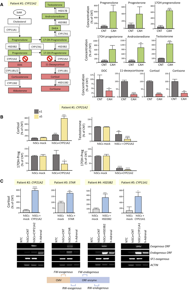 Figure 5