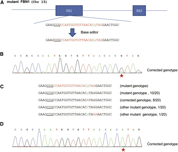 Figure 2