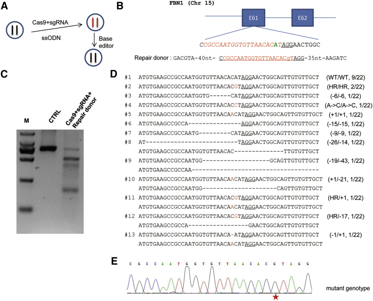 Figure 1