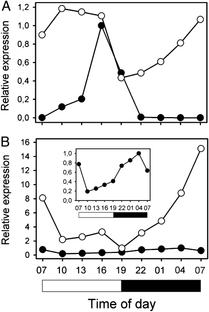 Fig. 5.