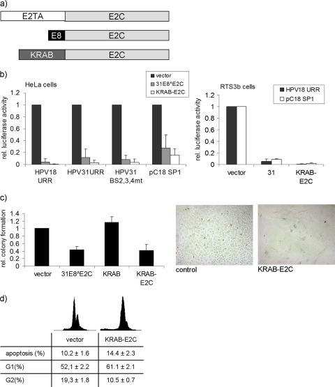 FIG. 6.