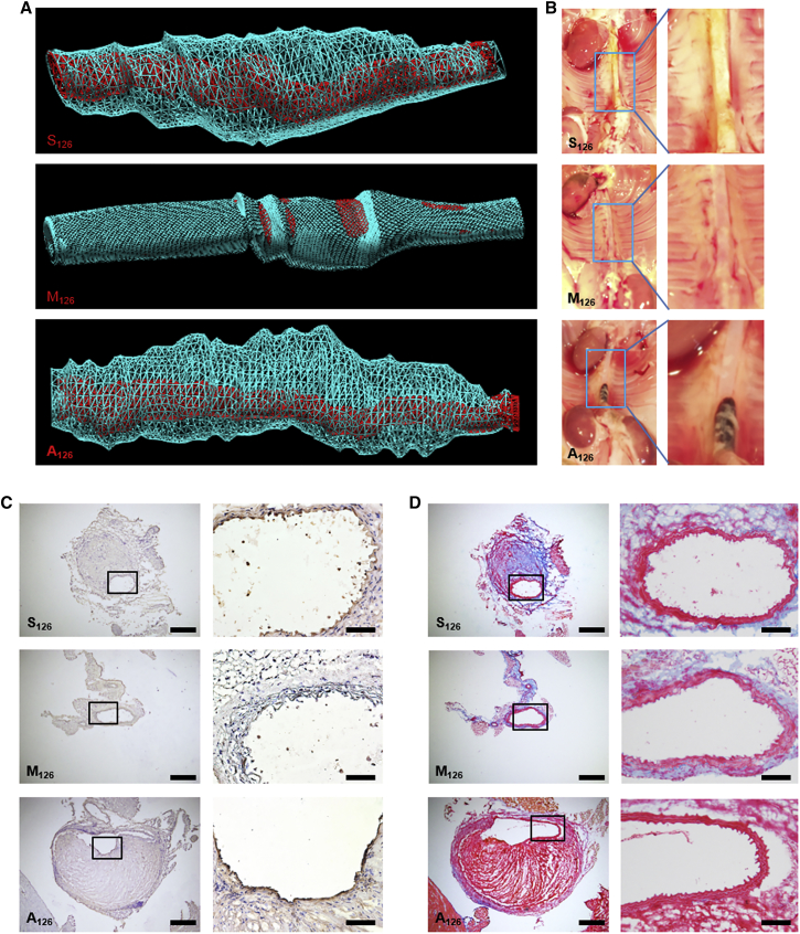 Figure 3