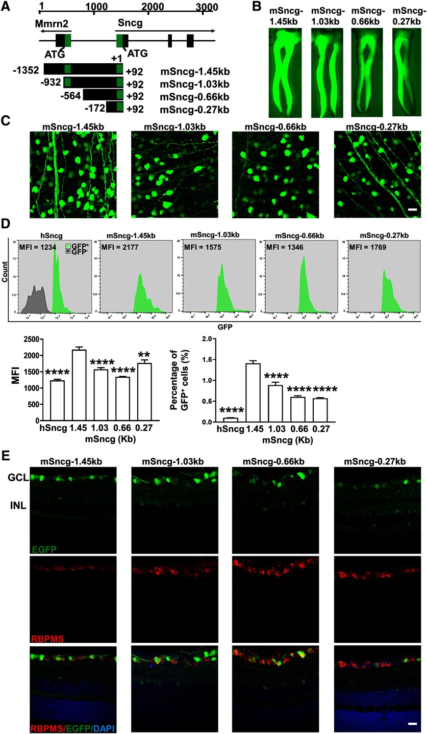 Figure 6.