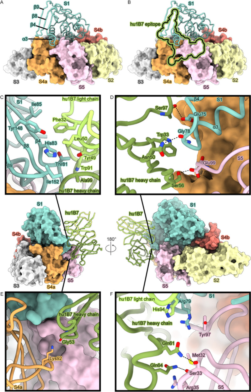Figure 5.
