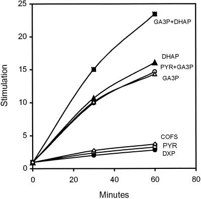 FIG. 2.