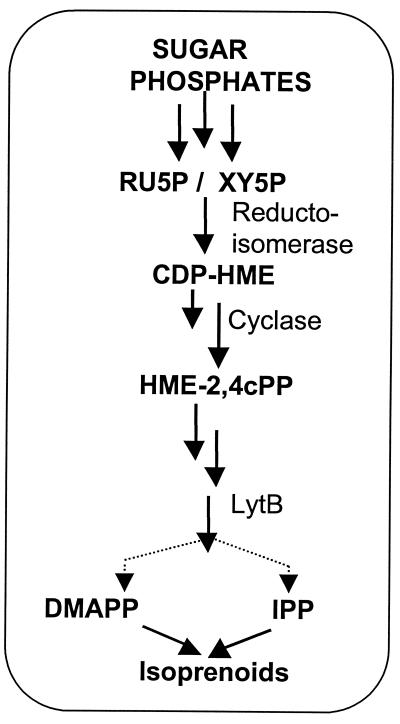 FIG. 6.