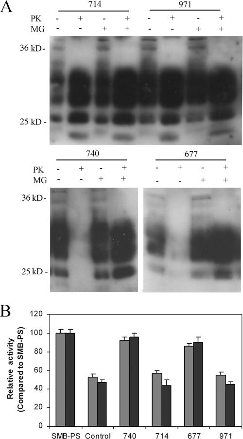 FIG. 8.