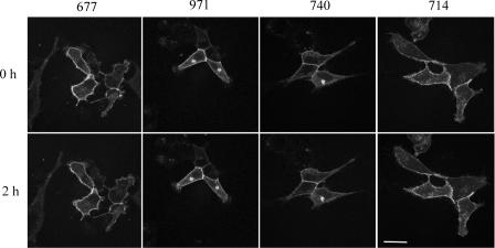 FIG. 9.