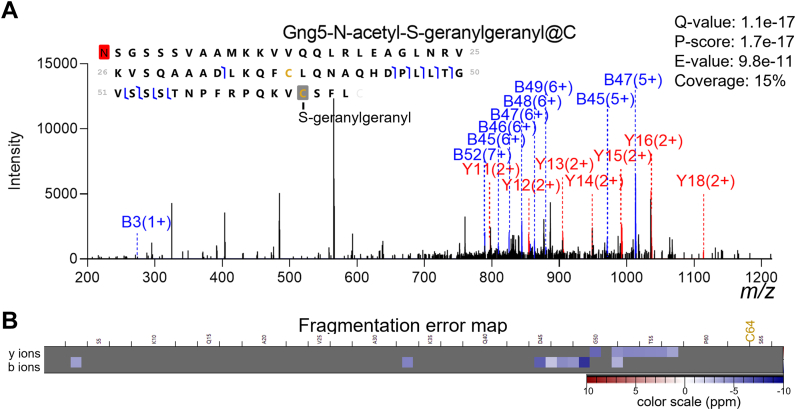 Fig. 3