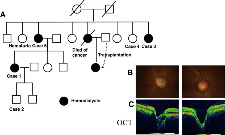 Fig 4