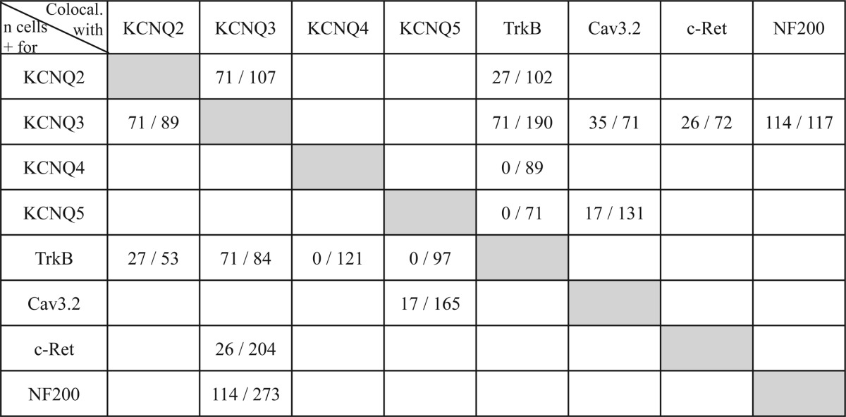 graphic file with name zbc011163838t001.jpg